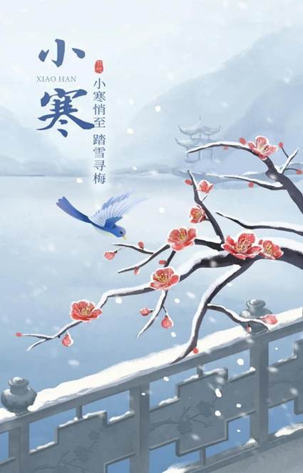 IMG_1599(20251228-191308)