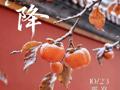 文化育人｜二十四节气•霜降：霜落秋终 蓄力前行