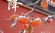 文化育人｜二十四节气•霜降：霜落秋终 蓄力前行